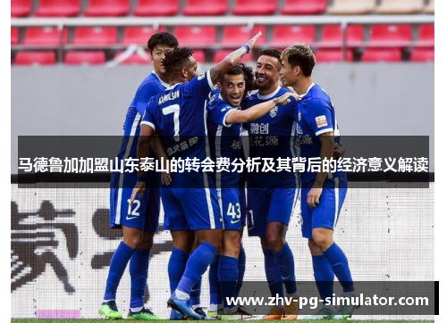 马德鲁加加盟山东泰山的转会费分析及其背后的经济意义解读