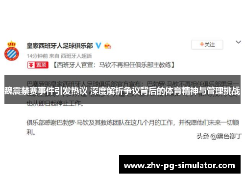 魏震禁赛事件引发热议 深度解析争议背后的体育精神与管理挑战