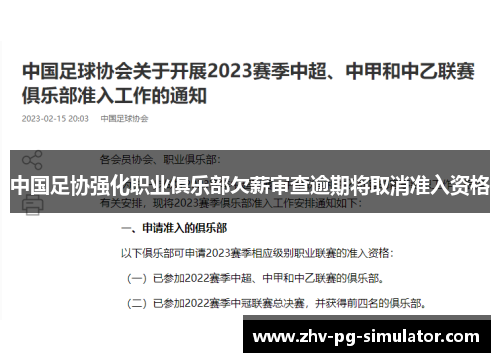 中国足协强化职业俱乐部欠薪审查逾期将取消准入资格